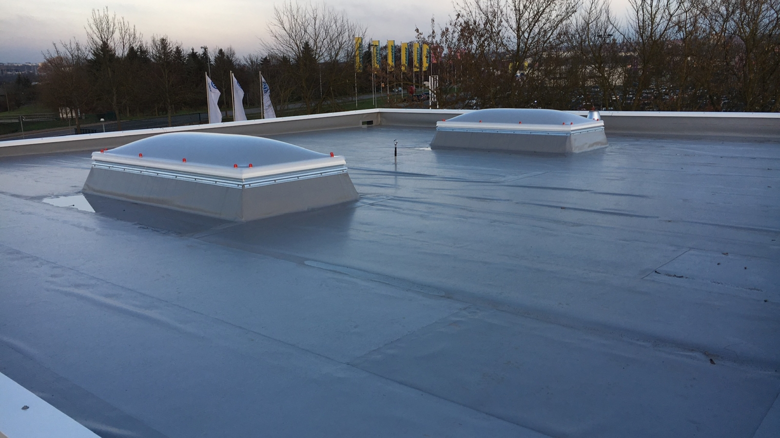 D2E1D43F-A071-4F72-B709-B420034E47BA